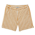 Ochre Stripe